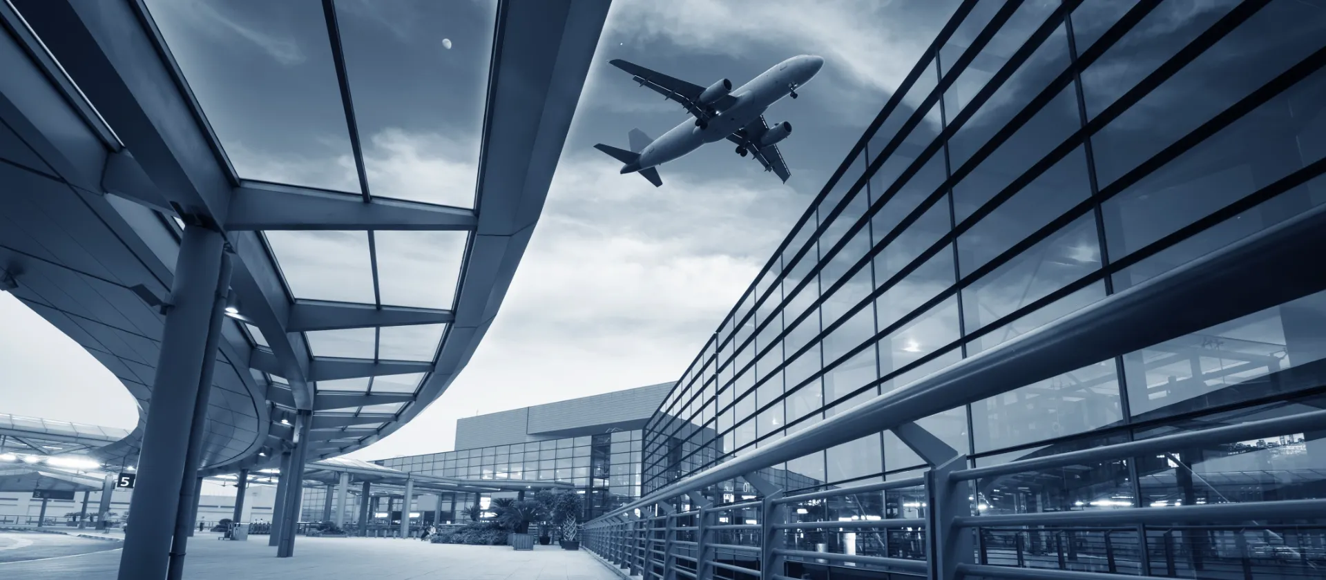 הסעות לשדה התעופה עם מובילי נטופה